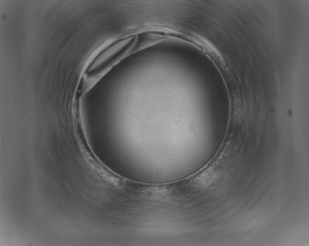 X0000070191190200605301305