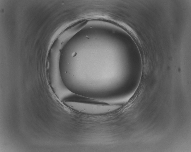 X0000070191191200605301305