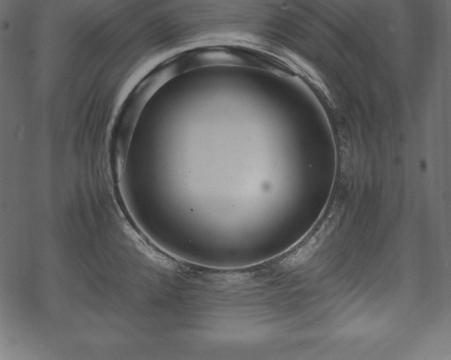 X0000070191192200605301305