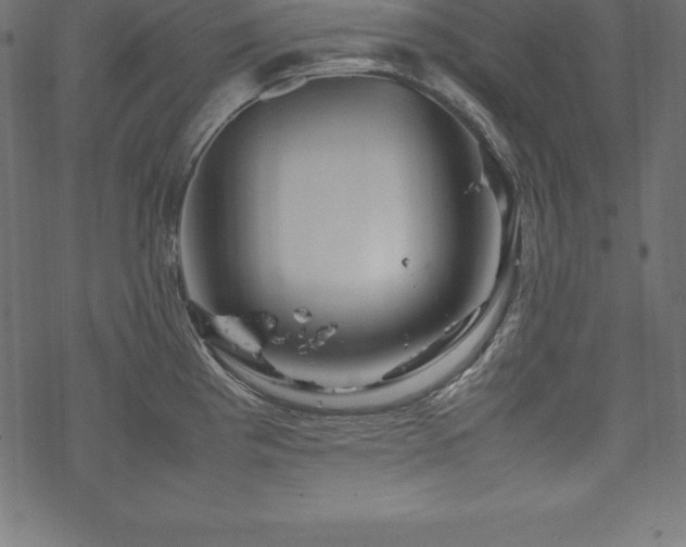 X0000070191193200605301305