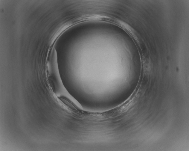 X0000070191194200605301305