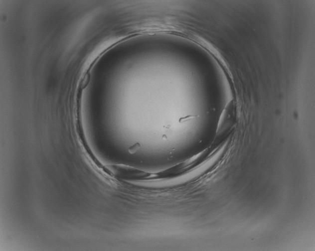 X0000070191195200605301305