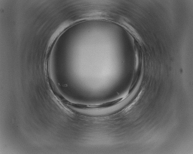 X0000070191196200605301305