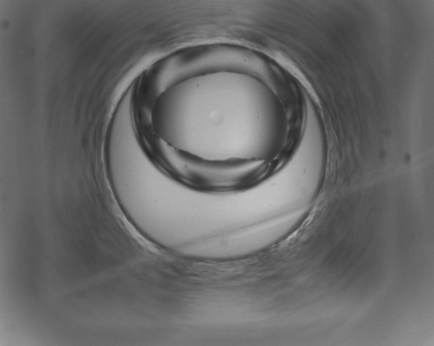 X0000070191197200605301305