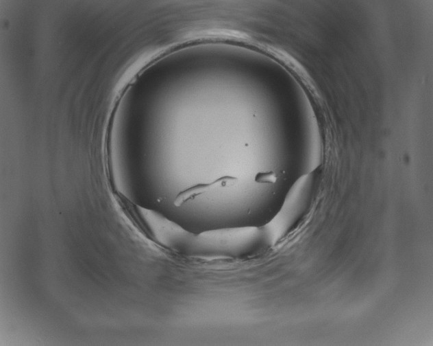 X0000070191199200605301305