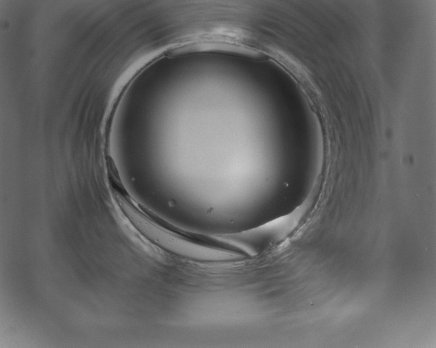 X0000070191200200605301305