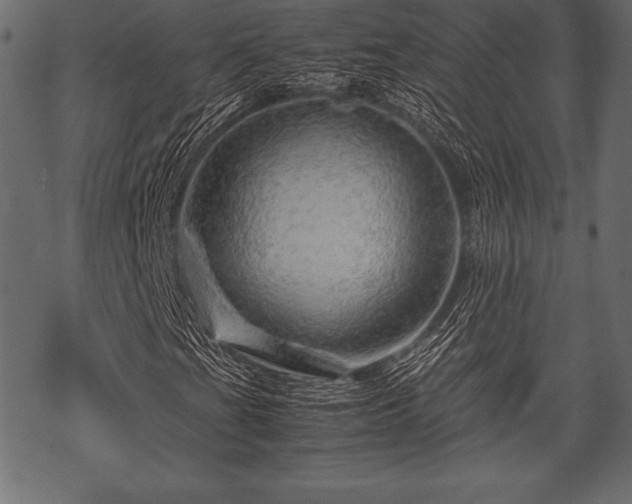 X0000070191201200605301304