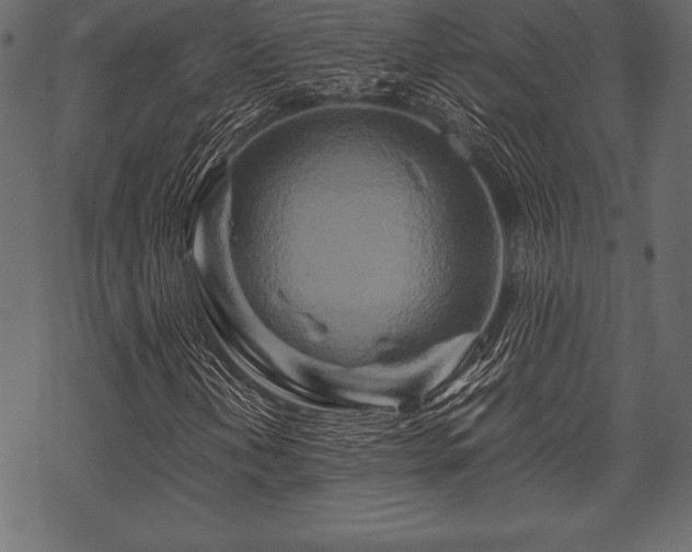 X0000070191202200605301304