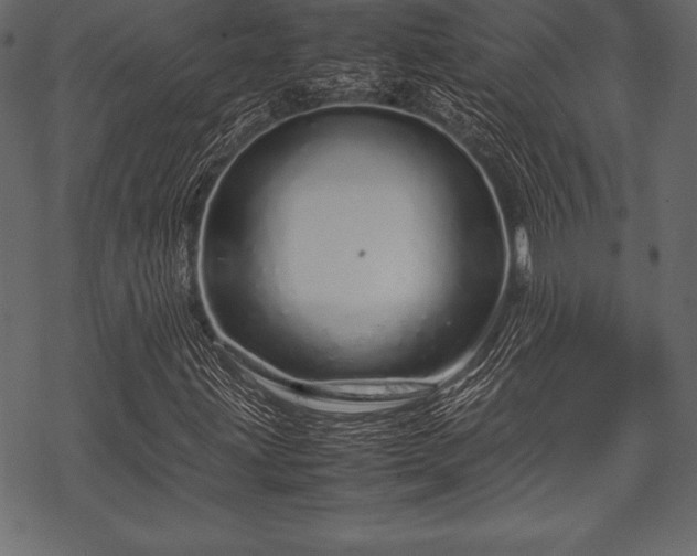 X0000070191203200605301304