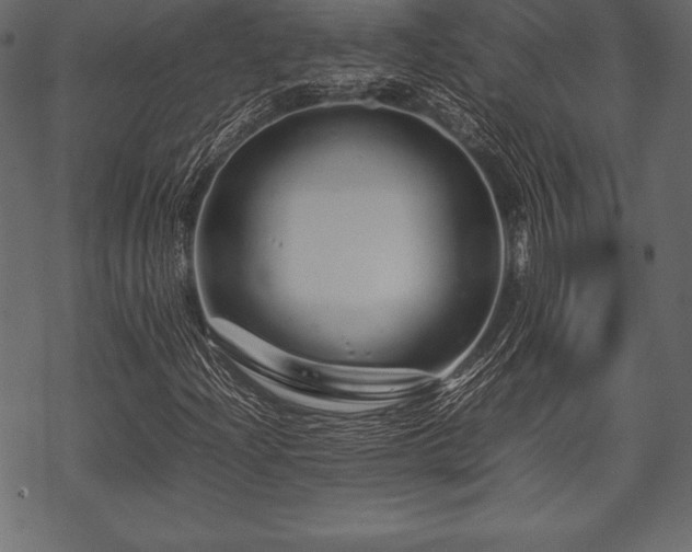 X0000070191204200605301304