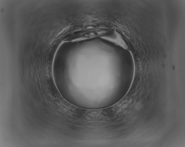 X0000070191205200605301304