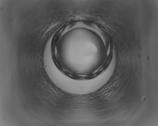 X0000070191206200605301304