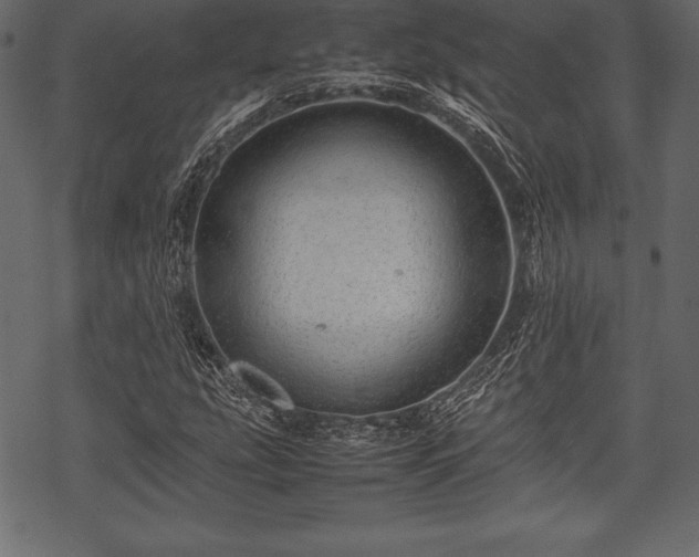 X0000070191207200605301304