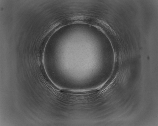 X0000070191209200605301304