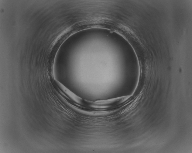 X0000070191210200605301304