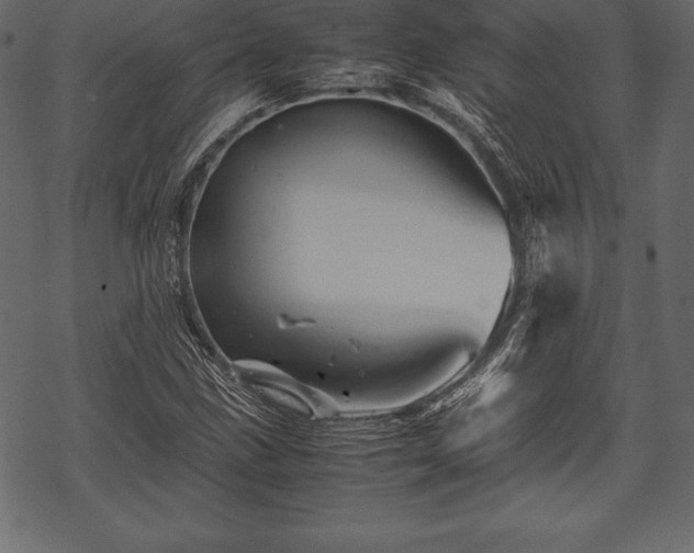 X0000070191211200605301304