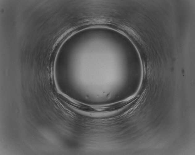 X0000070191212200605301304