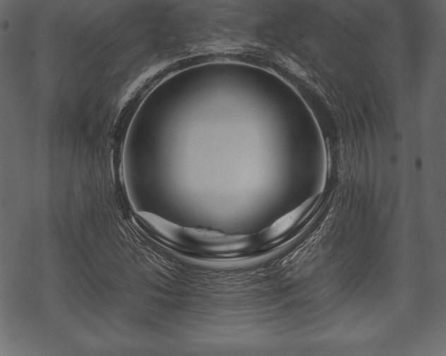 X0000070191214200605301304