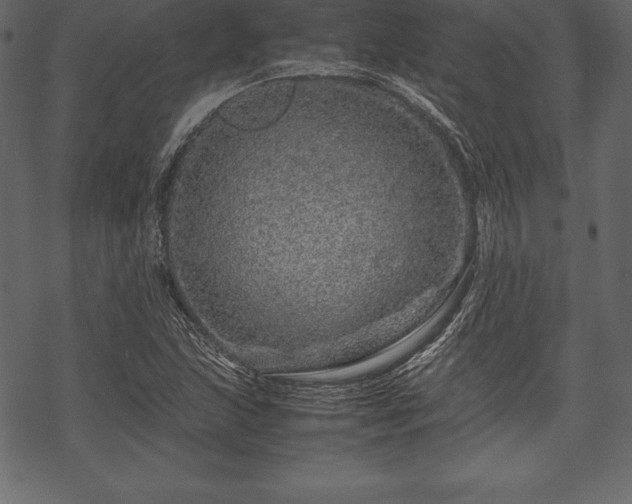 X0000070191215200605301304