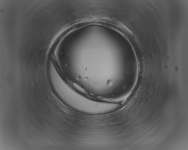 X0000070191216200605301304