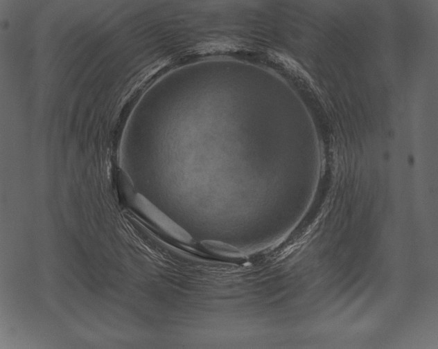 X0000070191217200605301304