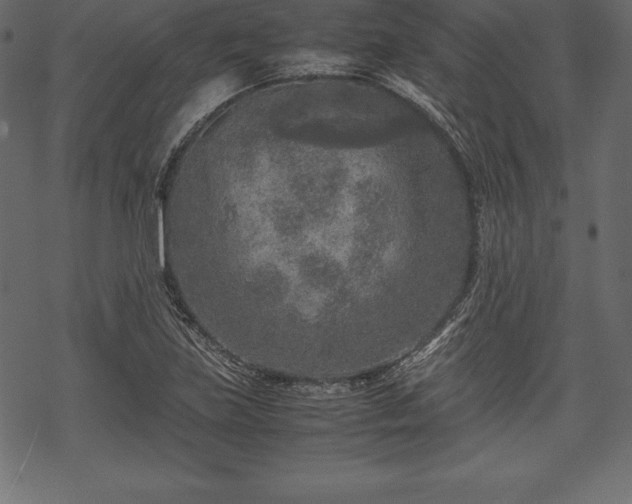 X0000070191219200605301304