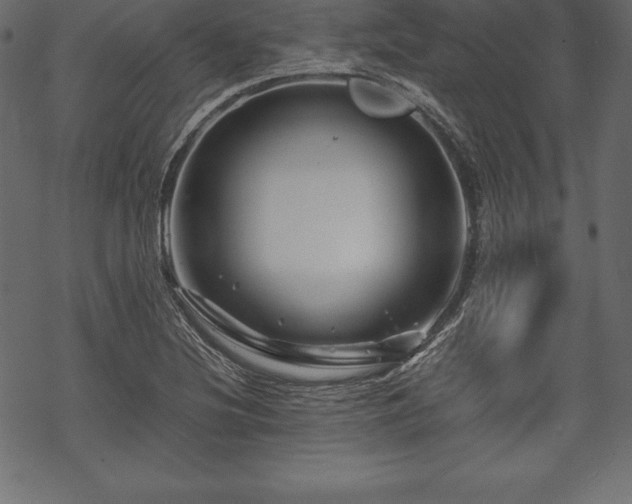 X0000070191220200605301304