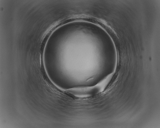 X0000070191221200605301304