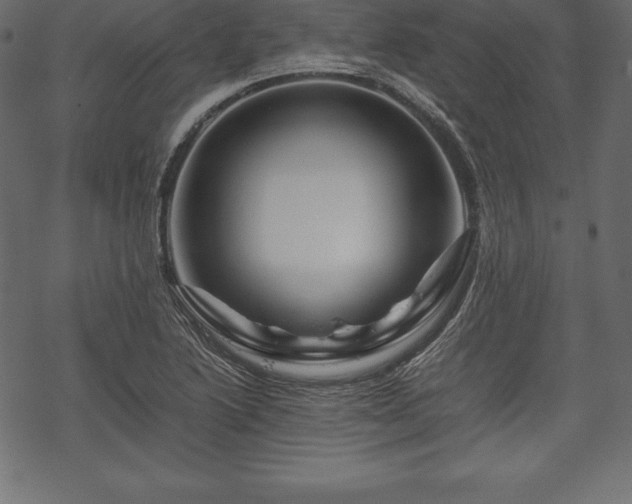 X0000070191222200605301304