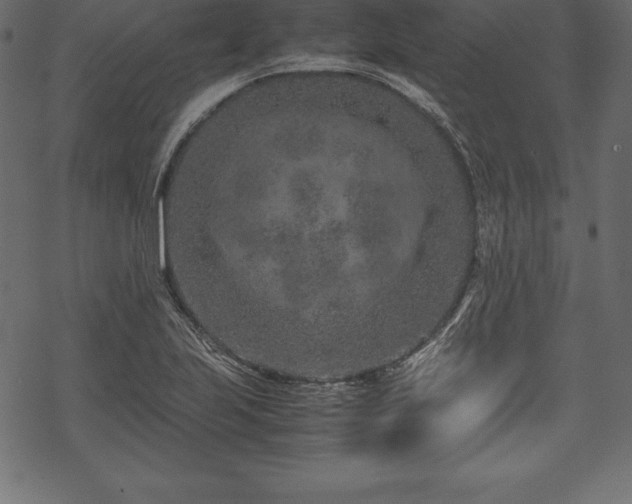 X0000070191223200605301304