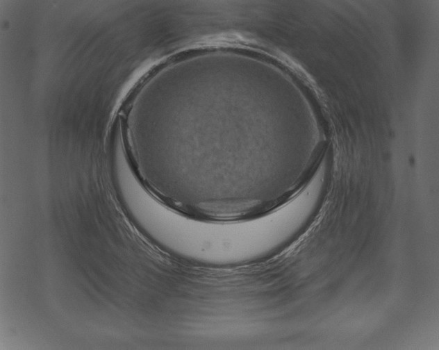 X0000070191224200605301304