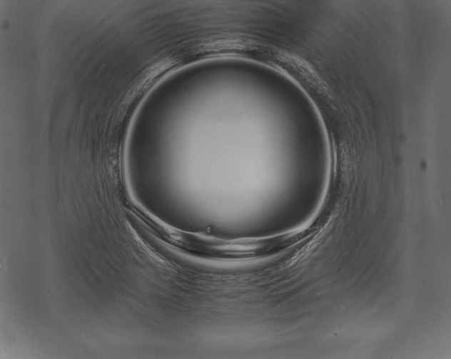 X0000070191225200605301304