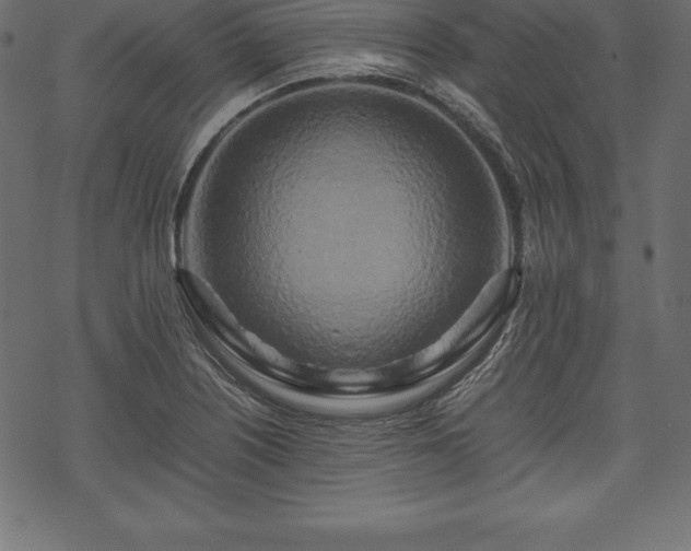 X0000070191226200605301304