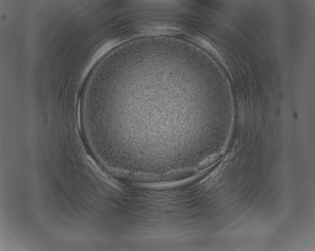 X0000070191227200605301304