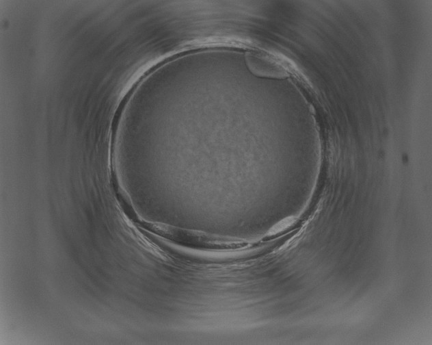 X0000070191228200605301304