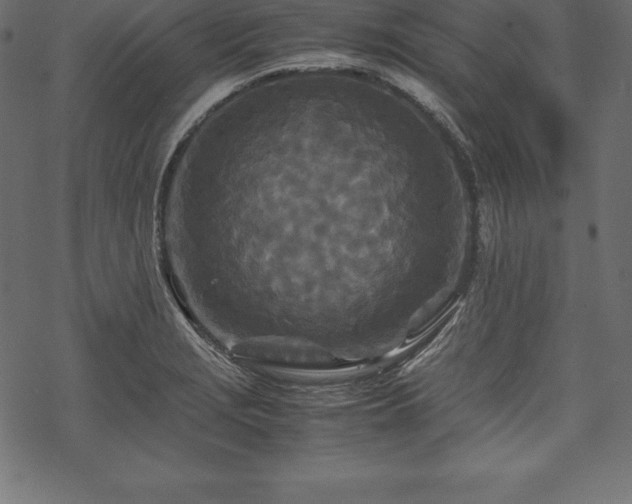 X0000070191229200605301304