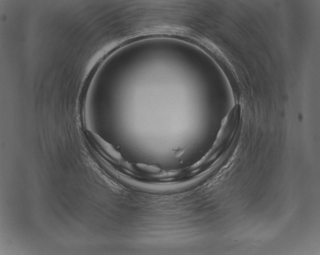 X0000070191230200605301304