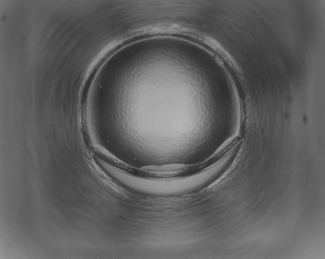 X0000070191232200605301304