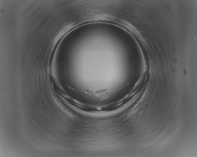 X0000070191234200605301304