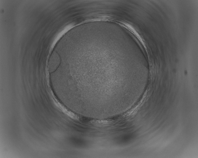 X0000070191235200605301304