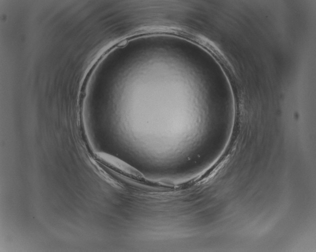 X0000070191236200605301304