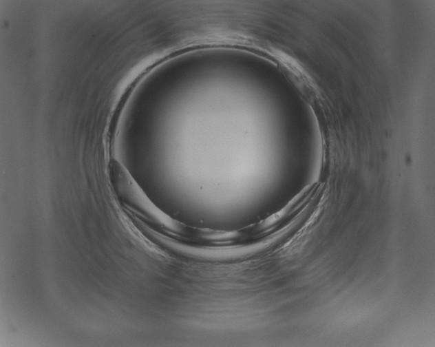 X0000070191238200605301304