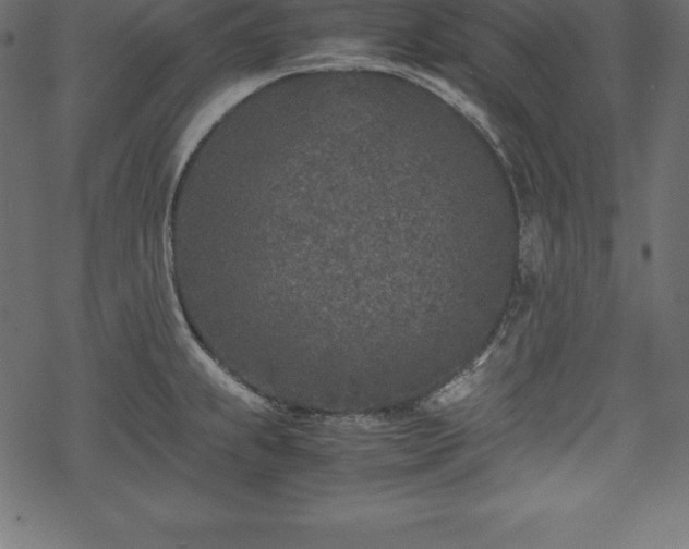 X0000070191239200605301304