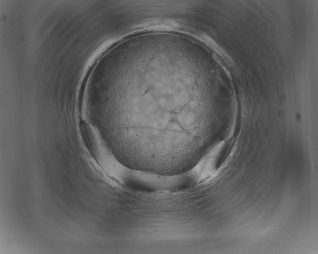 X0000070191240200605301304