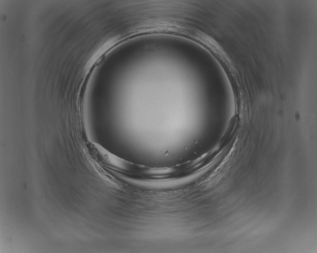 X0000070191242200605301304