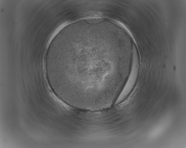 X0000070191243200605301304