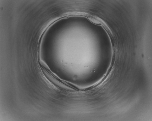 X0000070191244200605301305