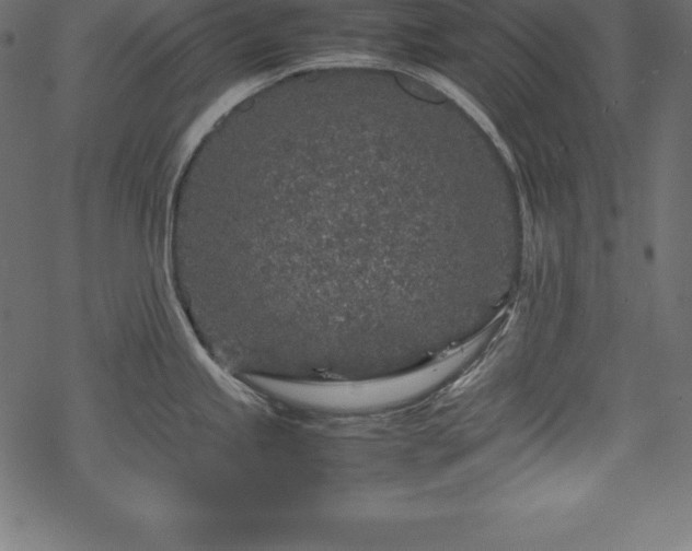 X0000070191245200605301305