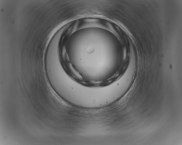 X0000070191246200605301305