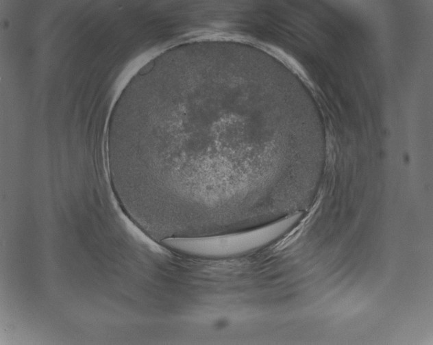 X0000070191247200605301305